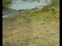 k5 muddin again