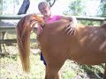 Horse with an itch!!