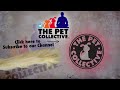 Getting Ready for The Pet Collective Launching April 24th