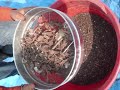 Composting Video