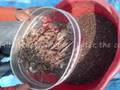 Composting Video