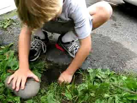 how to treat eelworm