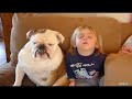 Bulldog ile Bebeğin Komik Anları