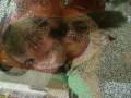 Eu te AmO!!! by: Deivison