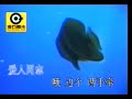 愛人同志