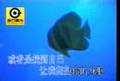 愛人同志
