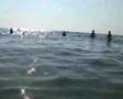 Anapa