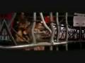 videos de Gisele B. Vs Rosie H-W