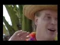 Kees Toets - Zomer In Het Westland
