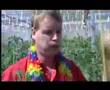 Kees Toets - Zomer In Het Westland