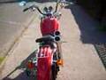 harley sportster