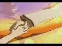 Animash - Suppose