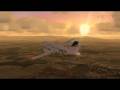REX Virtual  Airline Promotional