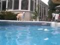 Lucy, Morty, and Ricky at the pool 2