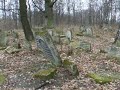 Cmentarz ?ydowski kirkut w Szczebrzeszynie Jewish cemetery i