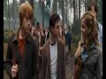 hermione granger hermione granger