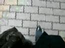 00:00:36