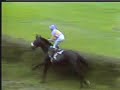 1984 (272) Gran Premio de SAN SEBASTIAN (G.II) (EL PALETO) 1984 (272) Gran Premio de SAN SEBASTIAN (G.II) (EL PALETO)