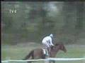 1984 (272) Gran Premio de SAN SEBASTIAN (G.II) (EL PALETO)
