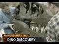 Dino Tissue sample found