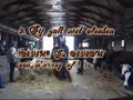 Horses- ~De 10 Geboden voor Paarden (+ Bloopers)