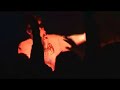 Ruudolf - vaimoongelmii Ruudolf - vaimoongelmii