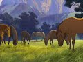 Spirit born -stallion of the cimarron