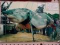 The scariest, biggest sharks ever