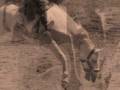 videos de Jay skoal Simmons.wmv