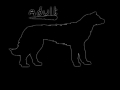 Animation-preview-Fo