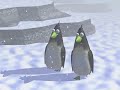 monty penguin