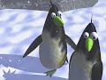 monty penguin
