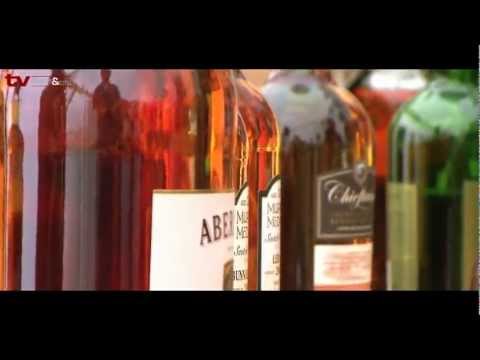 TV Gastro&Hotel: Skotské hry Sychrov