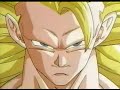 DRAGON BALL Z-RAMNSTEIN -DU HAST