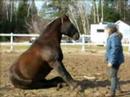 Groundwork and Freestyle with Nirvana Nov2007