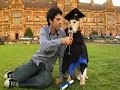 The Chasers war on Everything - Internet Degrees