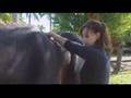 Jessica's pet and Equine Massage