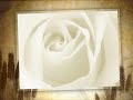 Ramy Sabry-Set El Habayeb - رامى صبرى - ست الحبايب