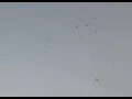 marriage des oiseaux, abyei, sudan