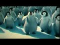 Happy feet Happy feet