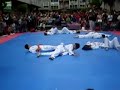 exibicion taekwondo en ourense