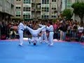 exibicion taekwondo en ourense