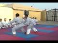 Shuryukan Yoshinkai Aikido Demo Team