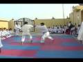 Shuryukan Yoshinkai Aikido Demo Team