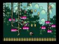 videos de Yoshi's Island (3-5, 100%) Speedrun
