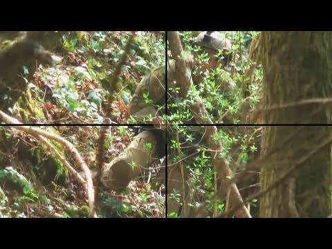airsoft sniping - Please go through the video description-- lisez le descriptif! musique from http://www.mindthings.net/ -Artiste: midthings -Album: above everything -Titel: O...