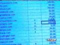 Natalie J Williams on First Coast News about Domain Flipping