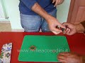 Giochi di prestigio magia fuga da alcatraz Giochi di prestigio magia fuga da alcatraz