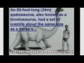 The craziest claim by a creationist - EVER
