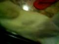 MOV01772.3GP